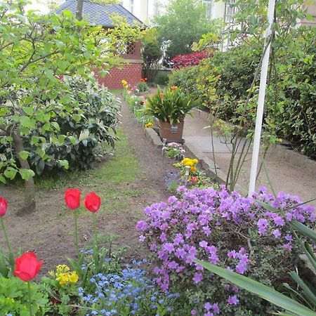 Hotel - Pension Villa Marie Radebeul Dış mekan fotoğraf