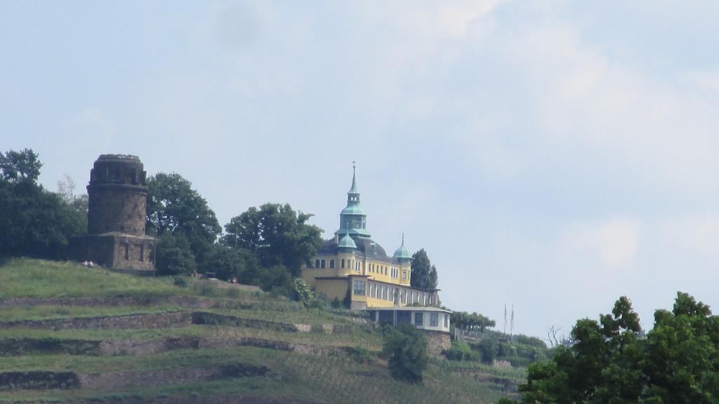 Hotel - Pension Villa Marie Radebeul Dış mekan fotoğraf